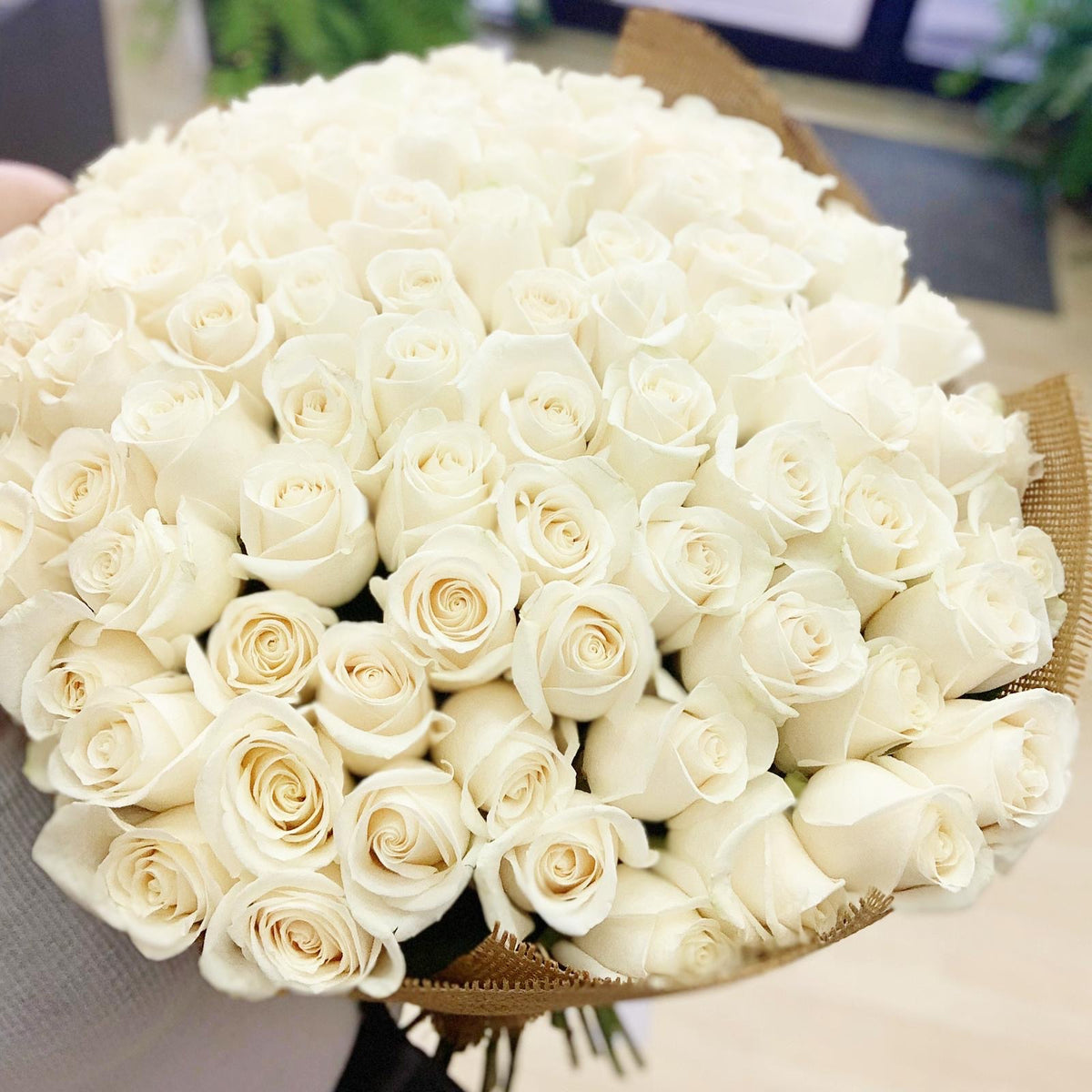 300 White Roses : Loose Wrap Bouquet