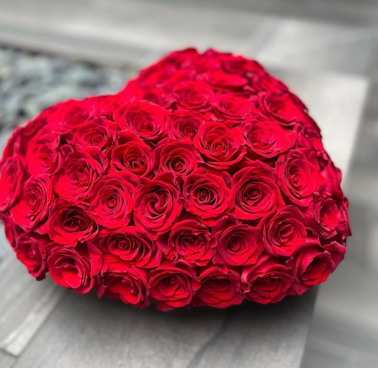 Amor Mio