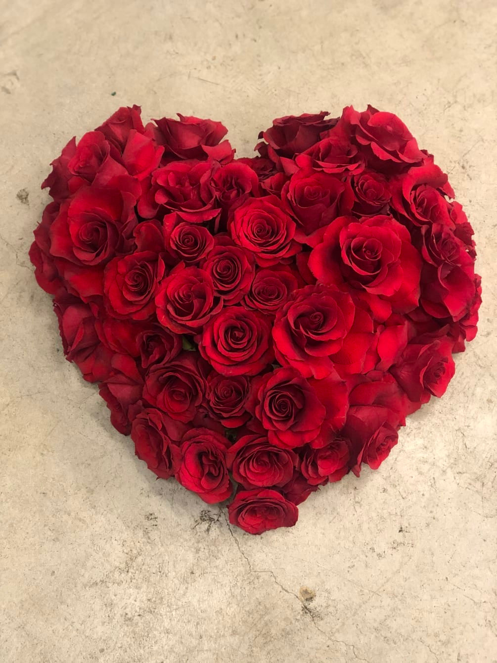 Amor Mio