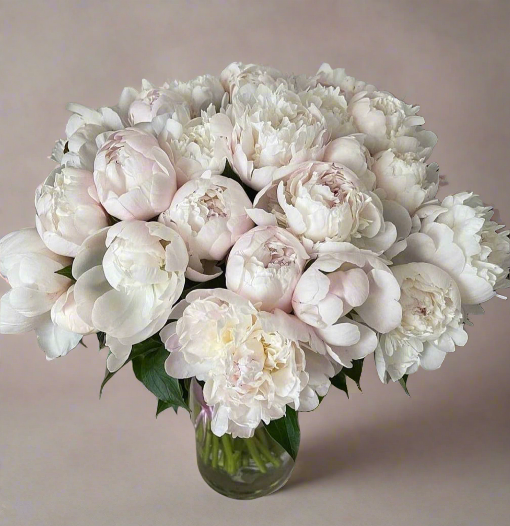Angel (30 Stems)