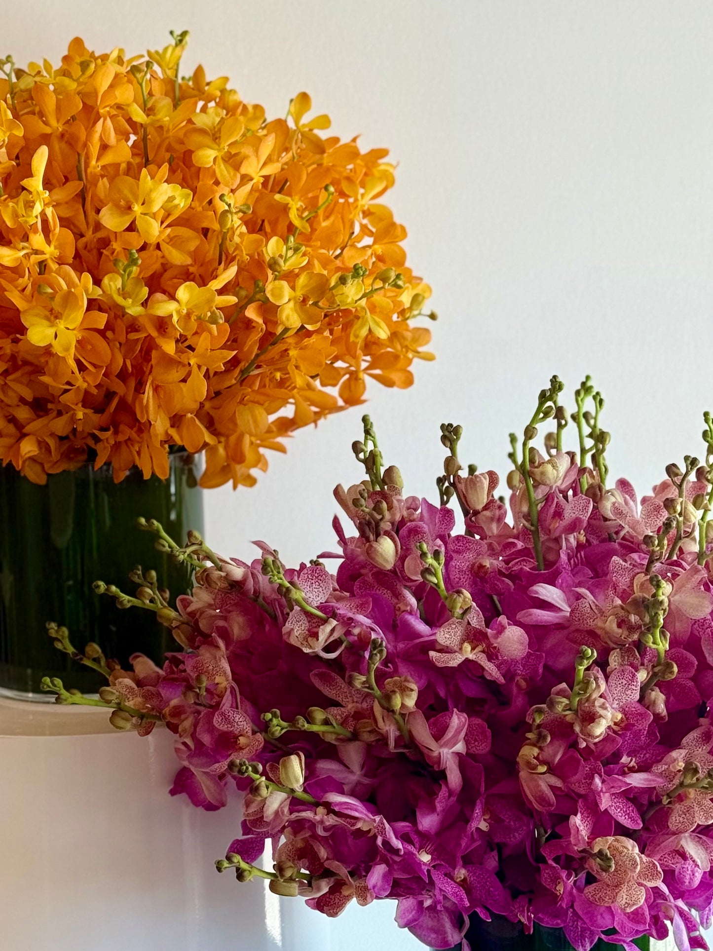 Orchid Edit