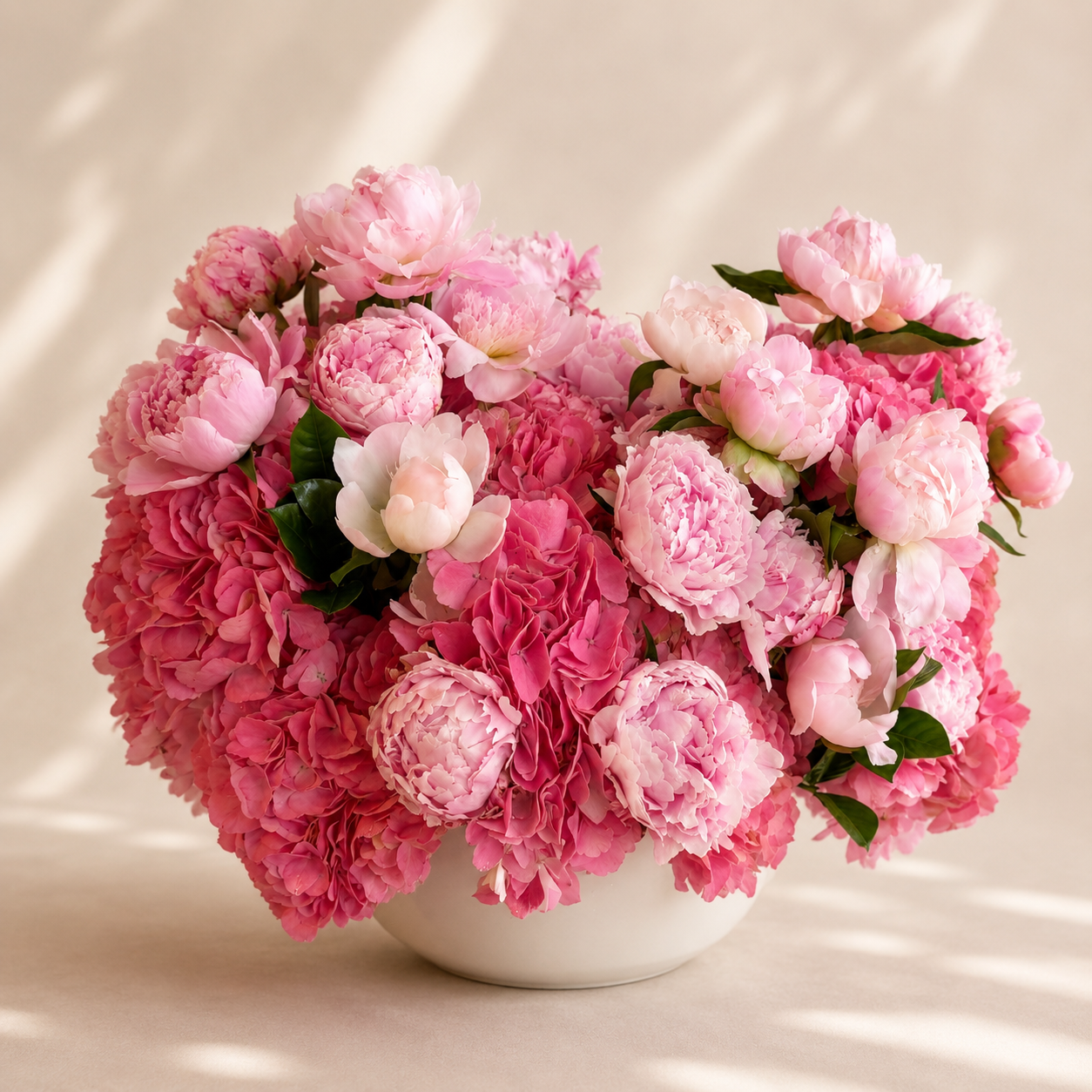 Peony Dreams