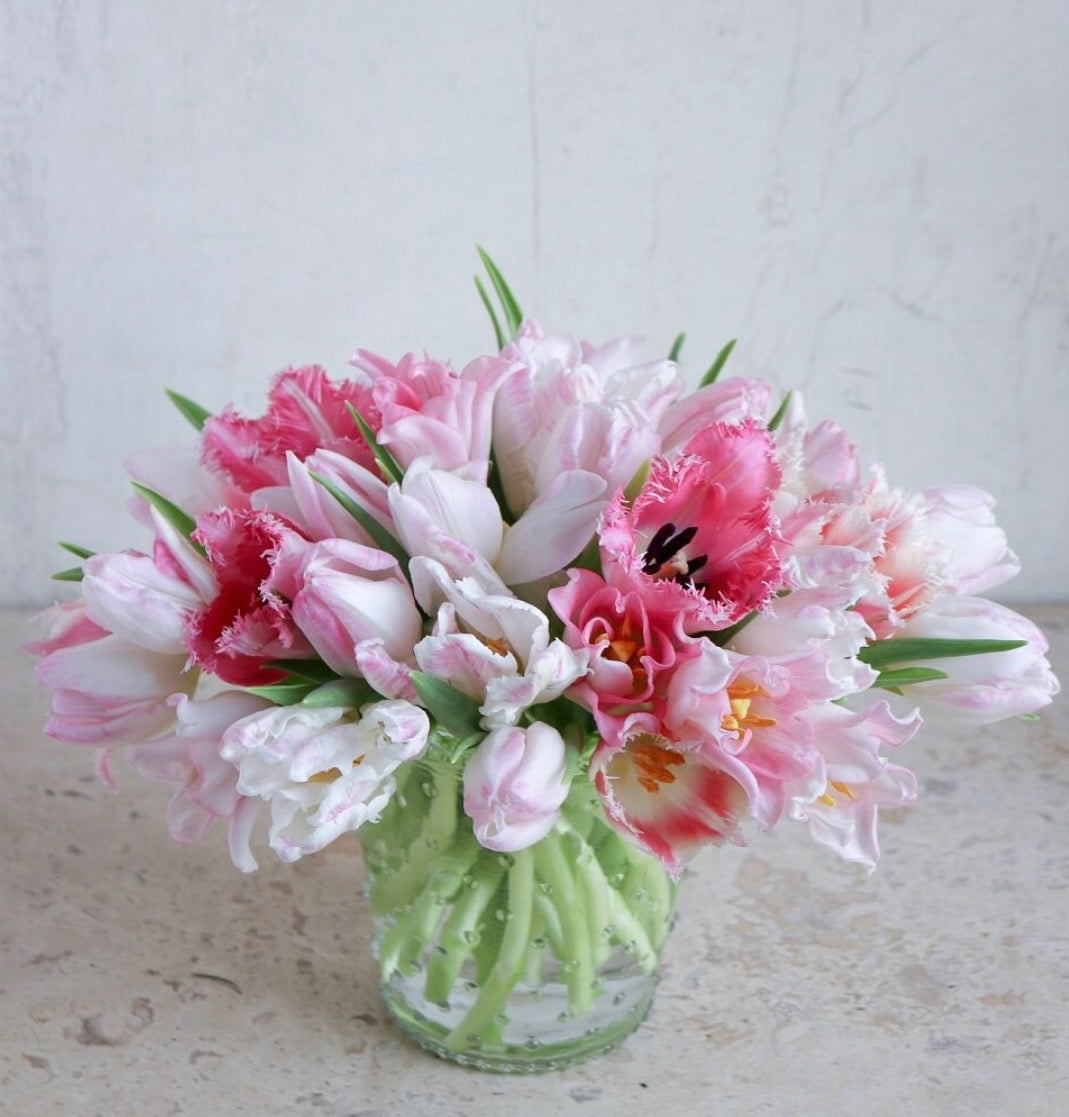 Mixed Tulips (Designers Choice)
