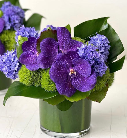 Purple Passion