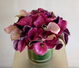 Plum Kiss